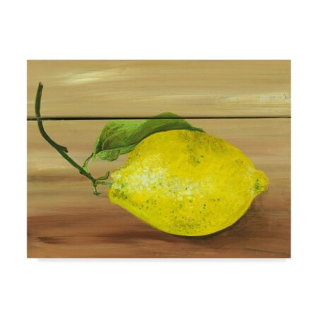 Trademark Fine Art
